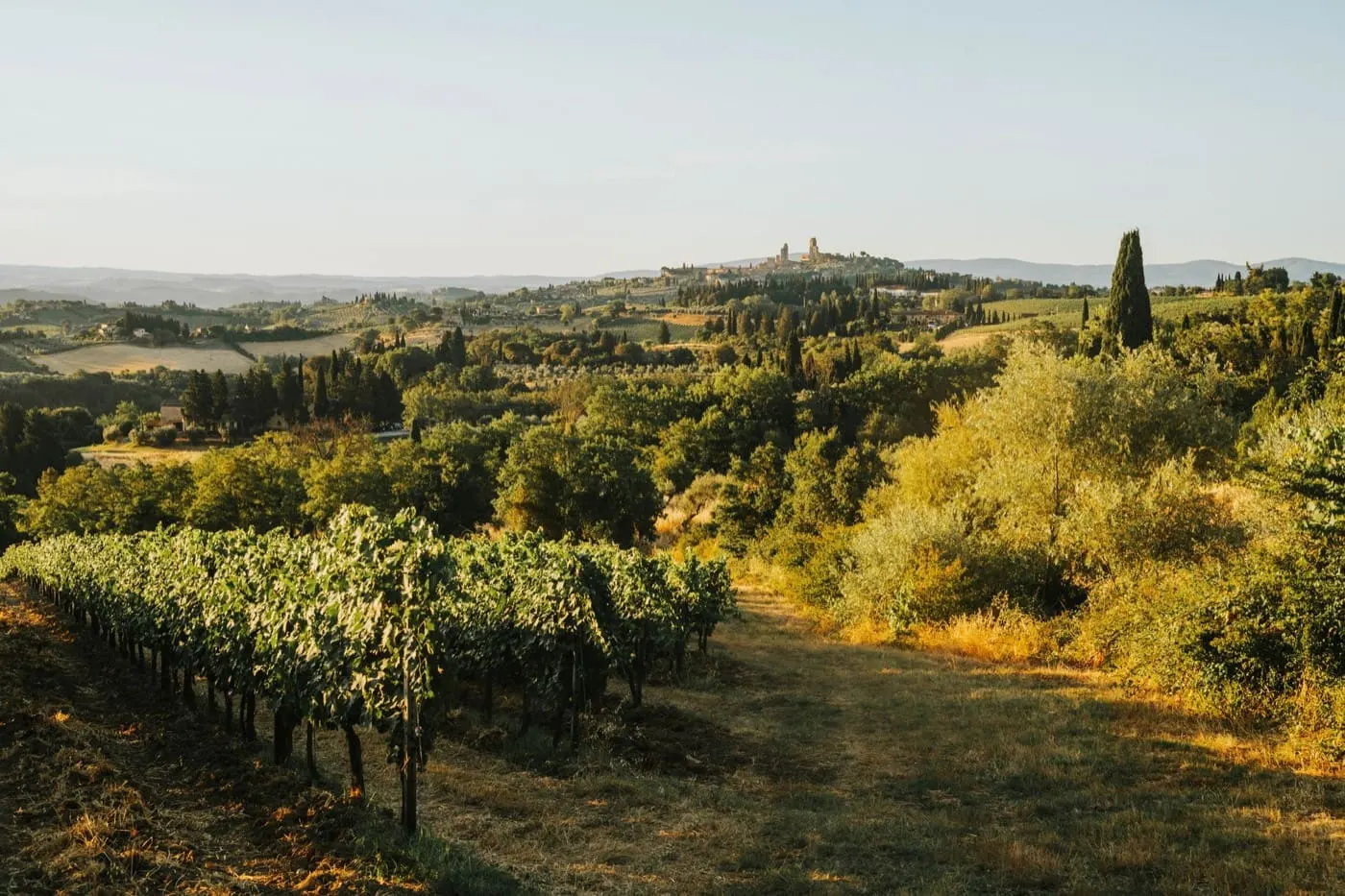 La campagna intorno, verso sera, un altro scorcio